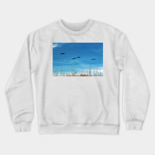 Flying Lessons Crewneck Sweatshirt